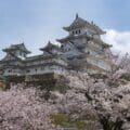 Den ultimate reisen til blomstrende Japan med Best Travel